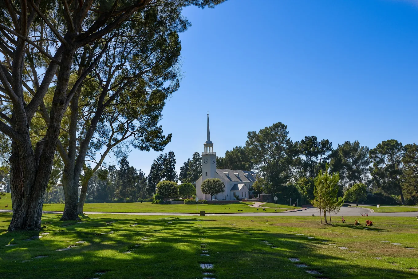 Forest Lawn